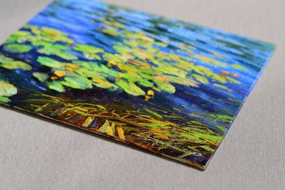 Water lilies on the waves
