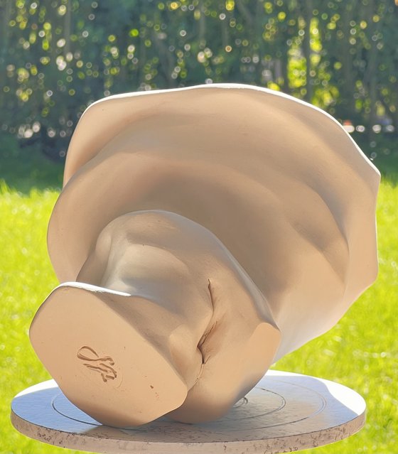 Suono plastico