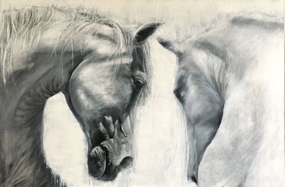 Horses Eye to Eye, large grey/white horse