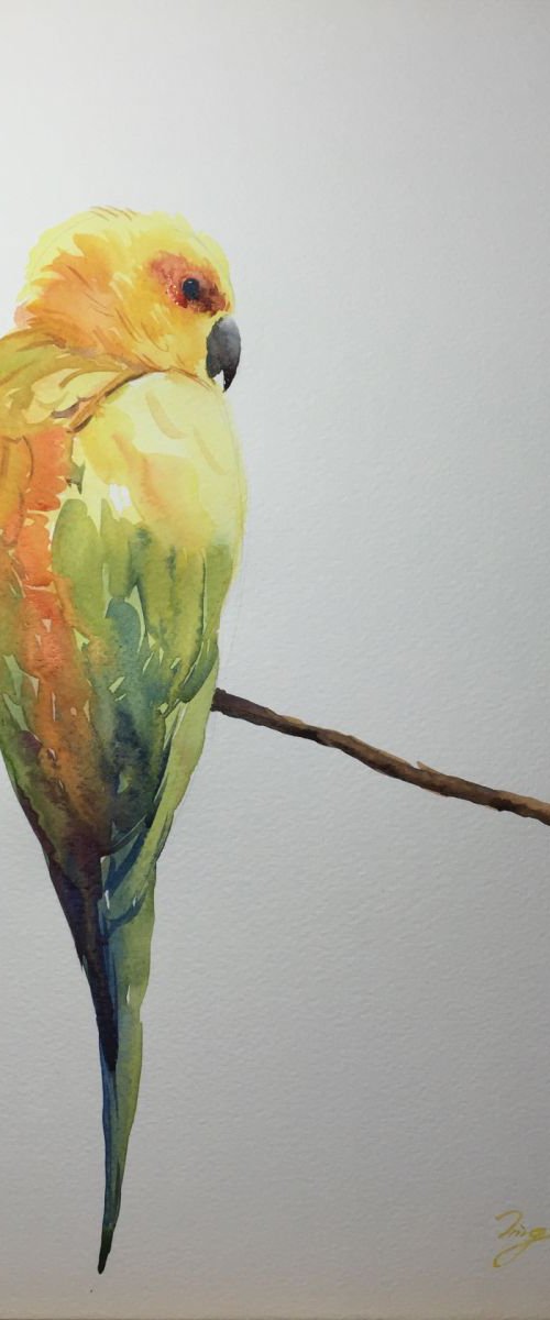 Parrot by Jing Chen