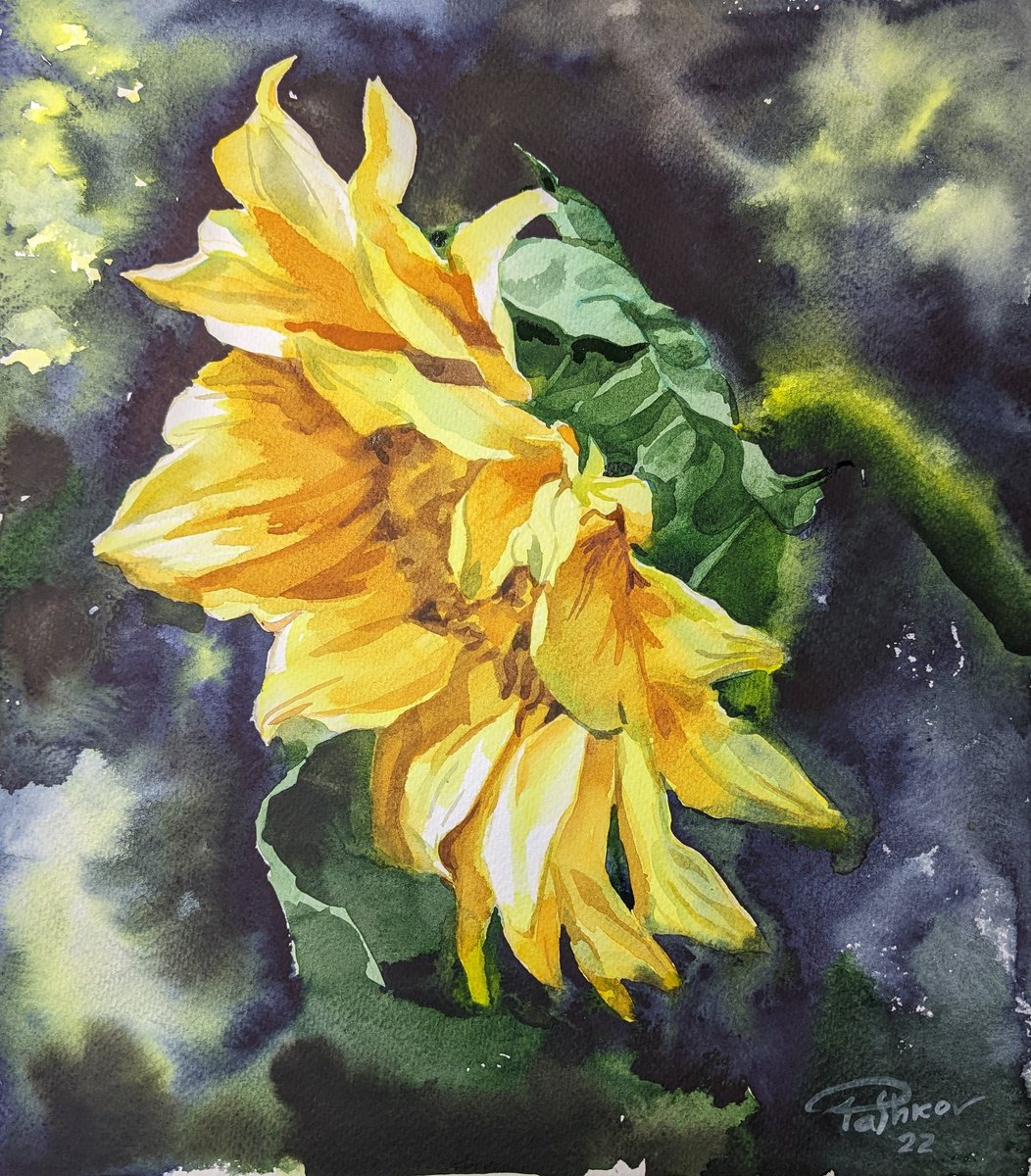 Sunflower by Yuryy Pashkov