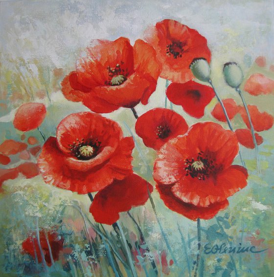 Poppies