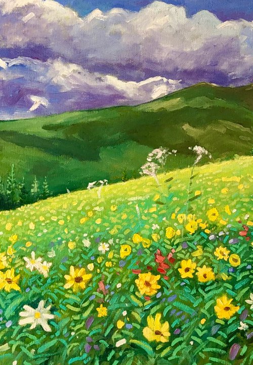 Flower field in mountain by Volodymyr Smoliak
