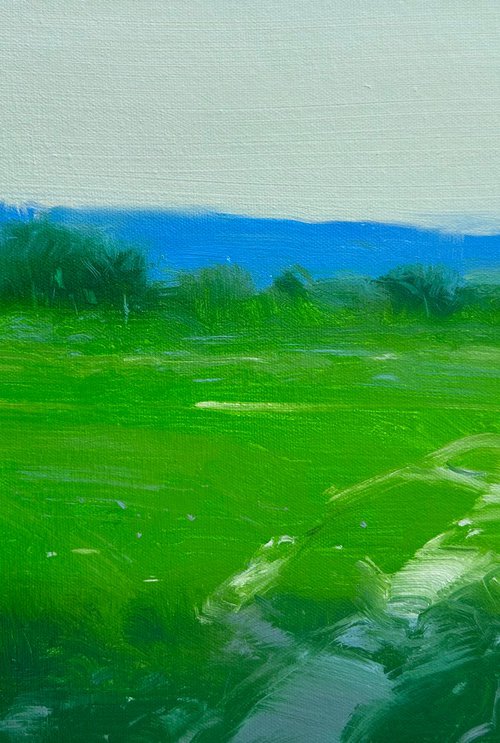 Summer Field, Original oil painting, Handmade artwork, One of a kind by Vahe Yeremyan