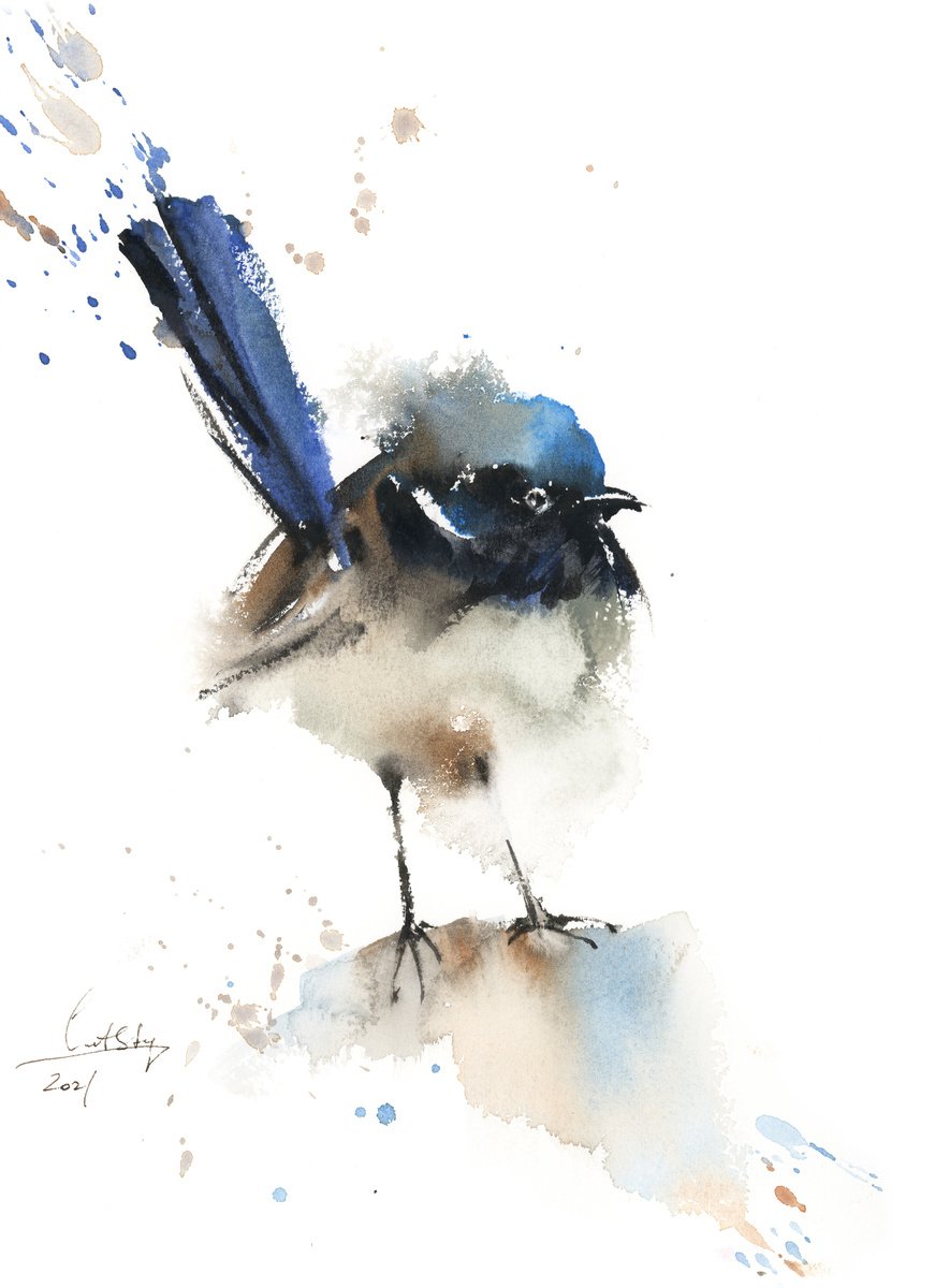 Fairy Wren Bird Watercolor Painting by Sophie Rodionov