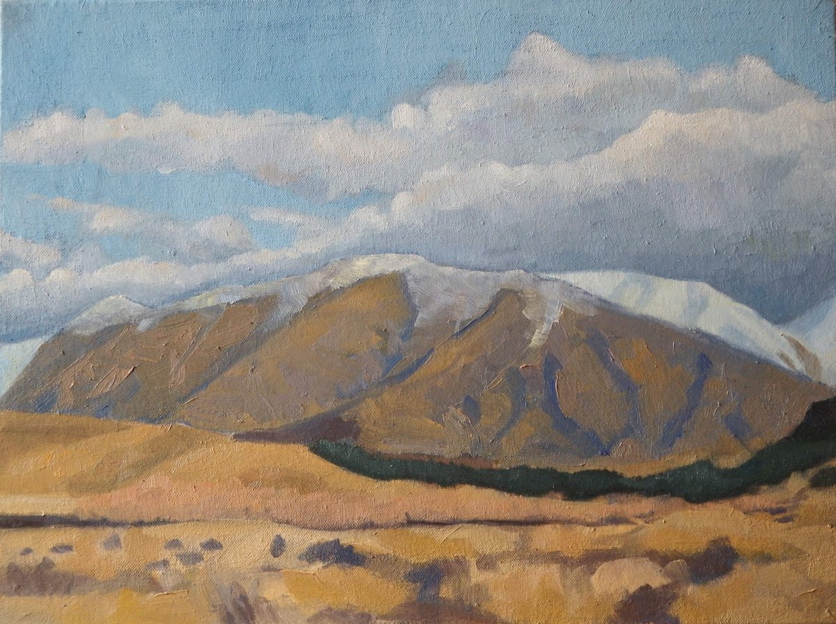 Coming Storm Over Ben Ohau by Baden French