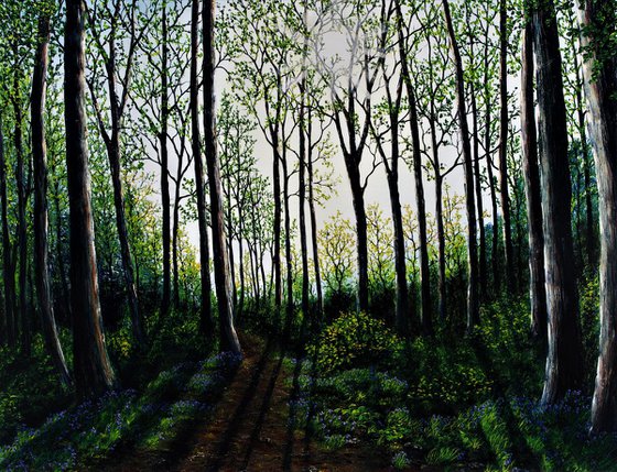 Magical Spring Light  92cm x 122cm