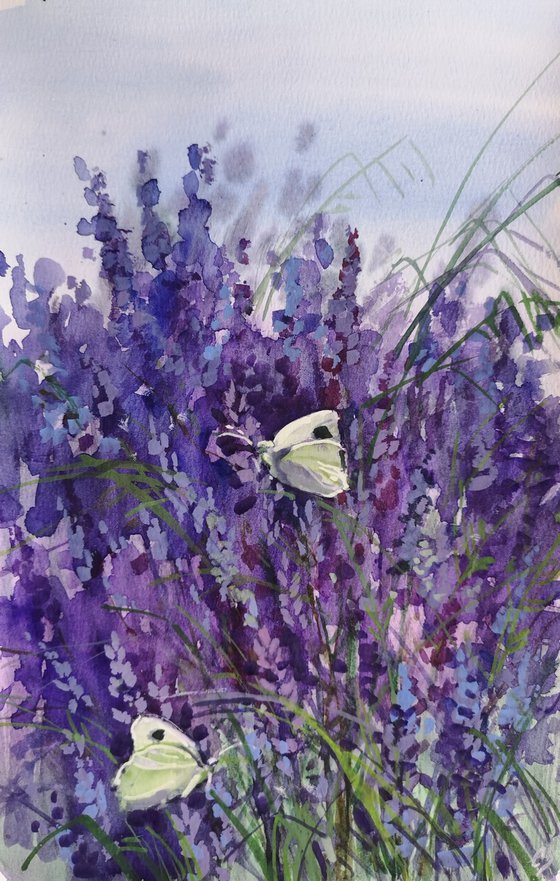 Lavender and butterflies
