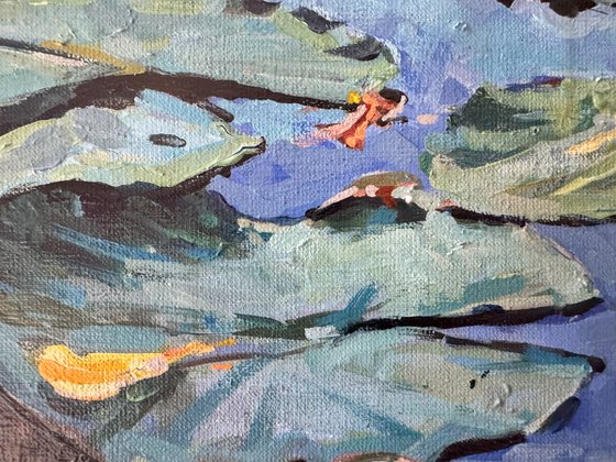 Waterlilies