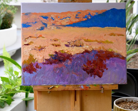 Evening Shades of the Desert