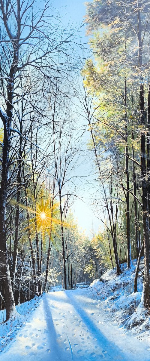 Winter Sun Path by Sergei Miqaielyan