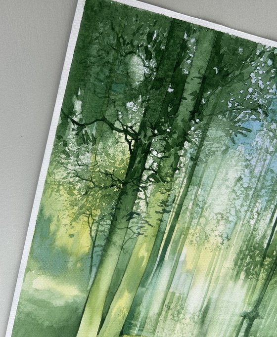 Forest Reflections