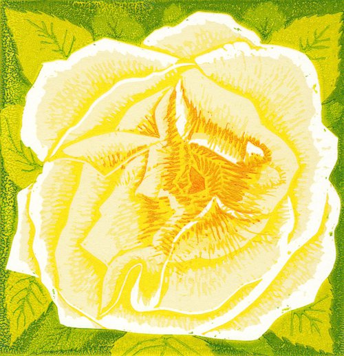 Yellow Rose by Marian Carter