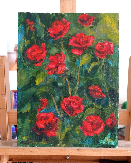 Dark Red Roses