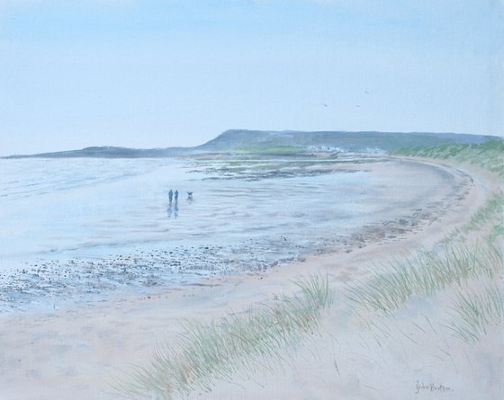 Horton beach, South Gower