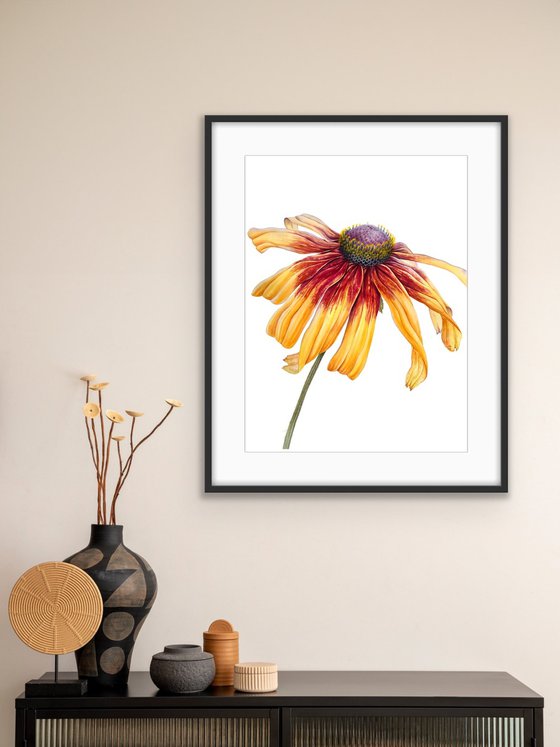 Greetings to the sun