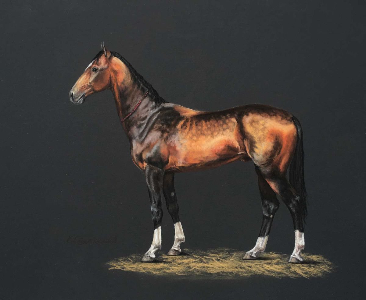 Teke Stallion by Ekaterina Styazhkina