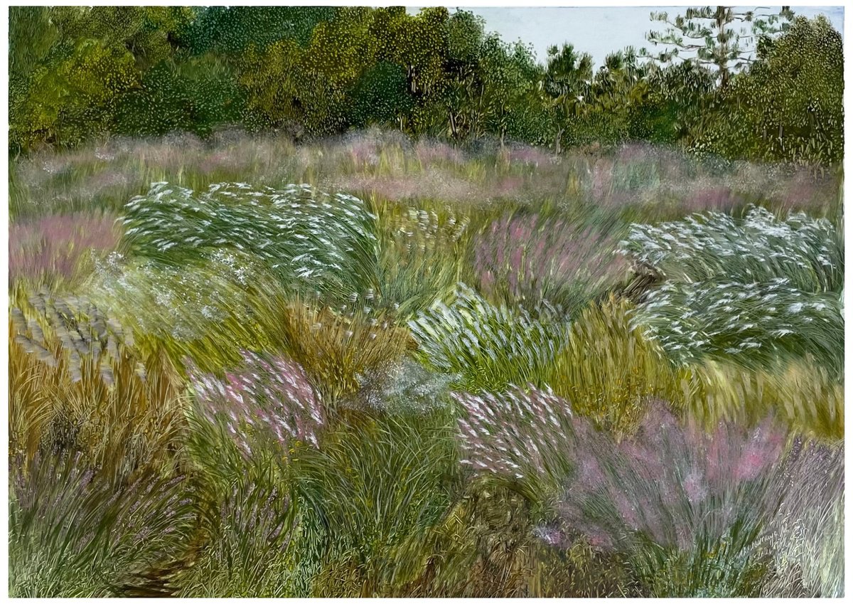 Oil Painting , Ornamental Grasses By Maija Nochevnaya, 28 X 20, Artwork For Sale On Artfinder