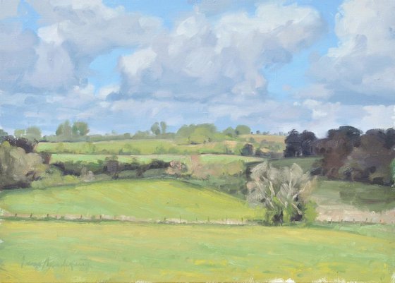 Spring in the Cotswolds, meadows
