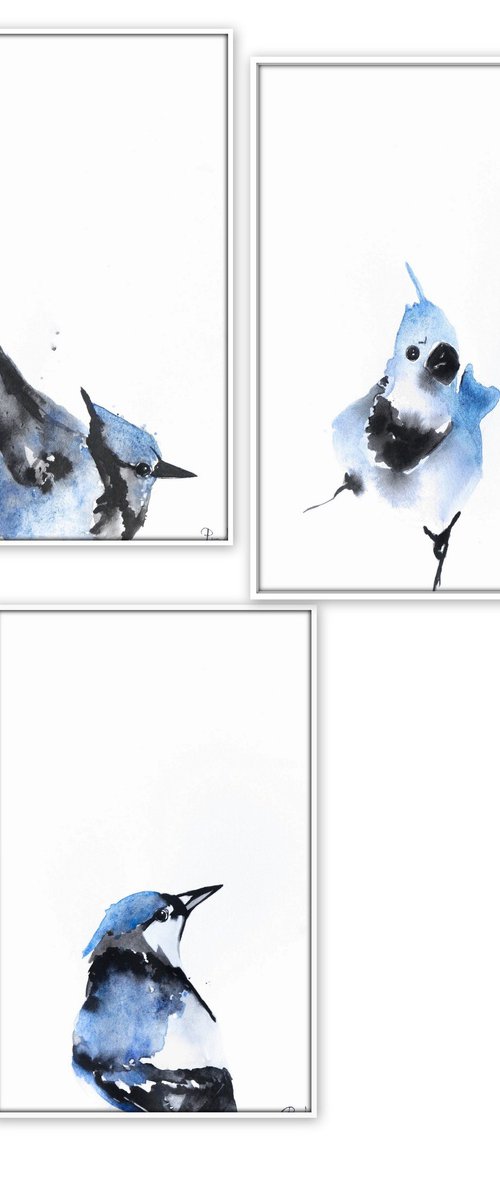 Set of 3 Bird paintings. by Nadia Moniatis