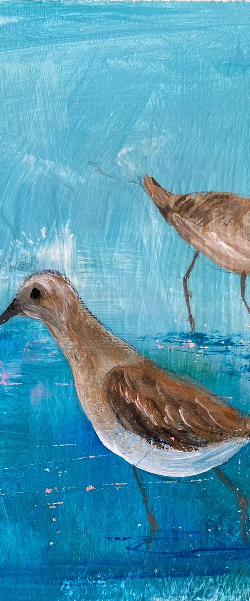 Wading Birds Series 3 by Teresa Tanner