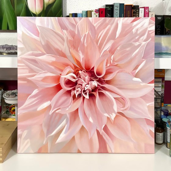 Timeless Beauty. Dahlia