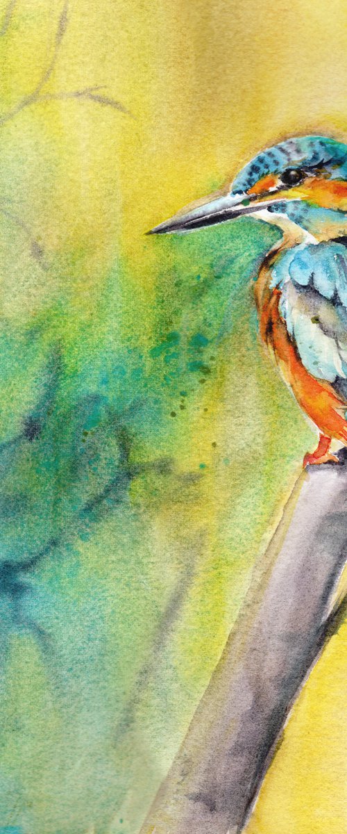 Kingfisher III by Anjana Cawdell