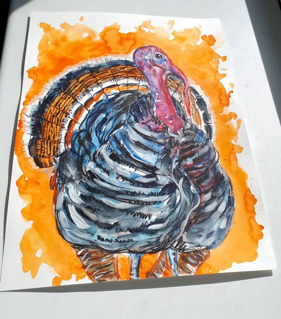 "Turkey bird"