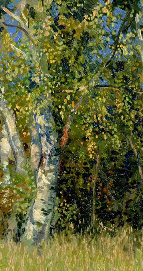 Birch trees in autumn by Simon Kozhin