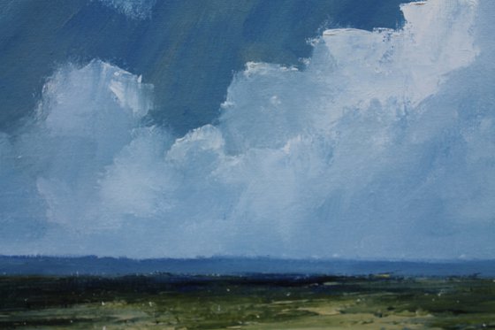 The wetlands, Irish Landscape