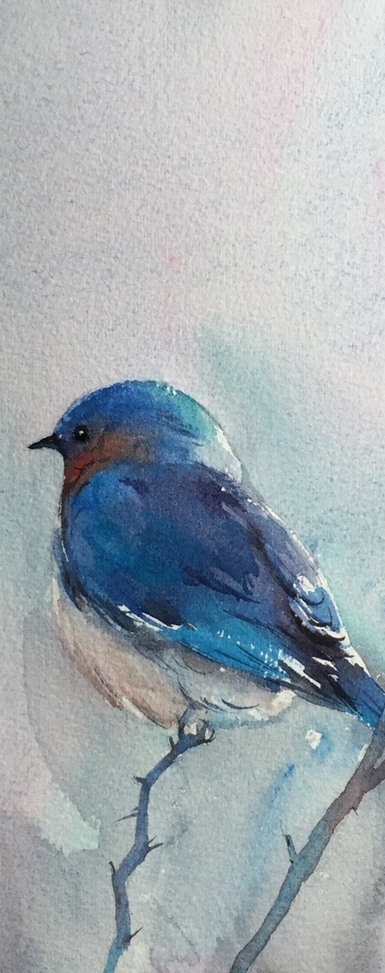 Bird on a Branch 3
