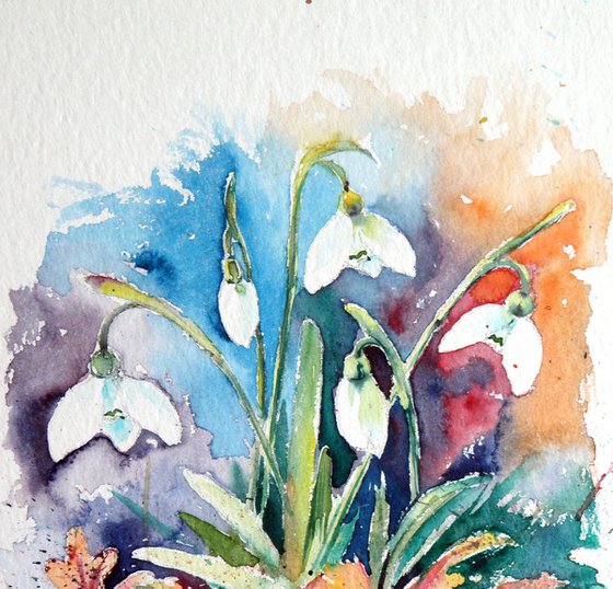 Little snowdrops