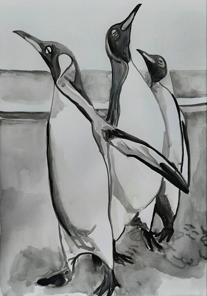 Urban And Pop Animal Ink Drawing By Alexandra Djokic, 12 X 17, Pinguins, Original Artwork