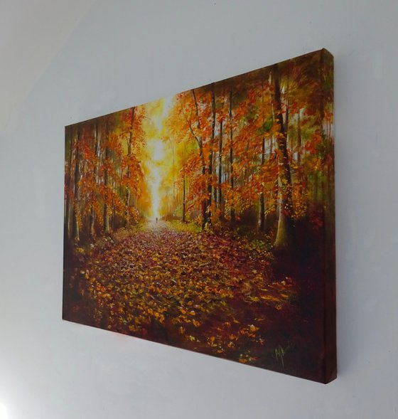 The Autumn Lights The Way