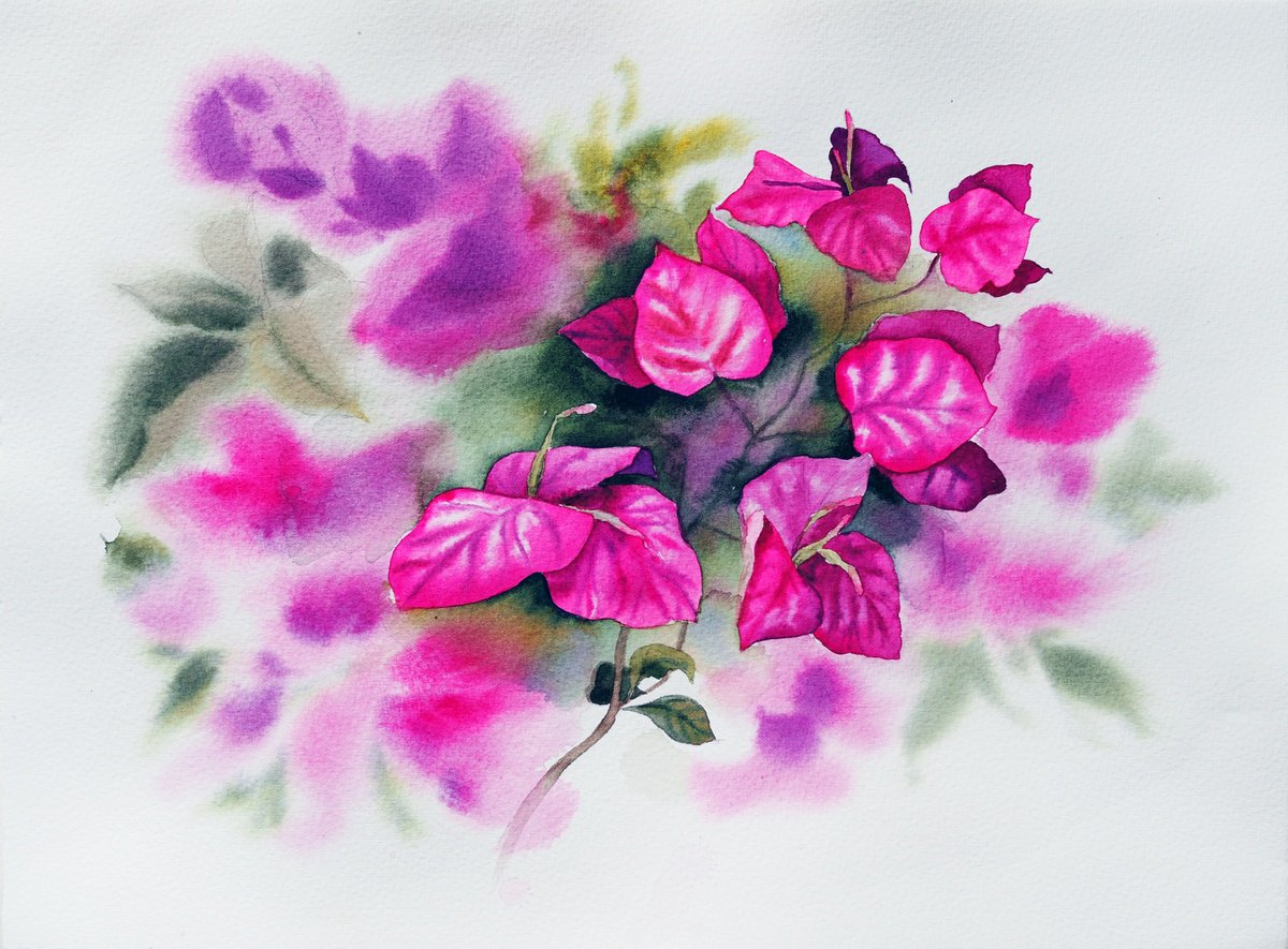 Impressionistic Botanical Watercolour By Delnara El, 15 X 11, Bougainvillea Flower, Original Artwork