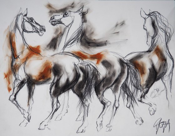 HORSES