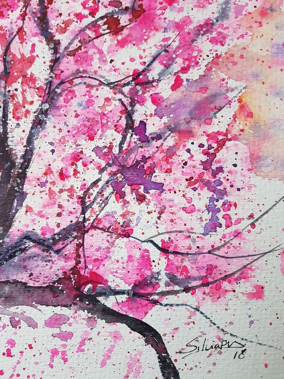 Cherry blossom II
