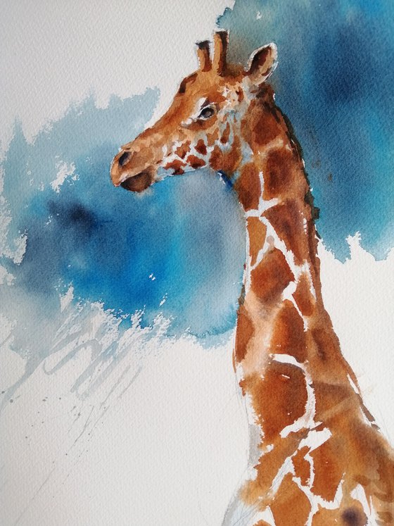 giraffes 4