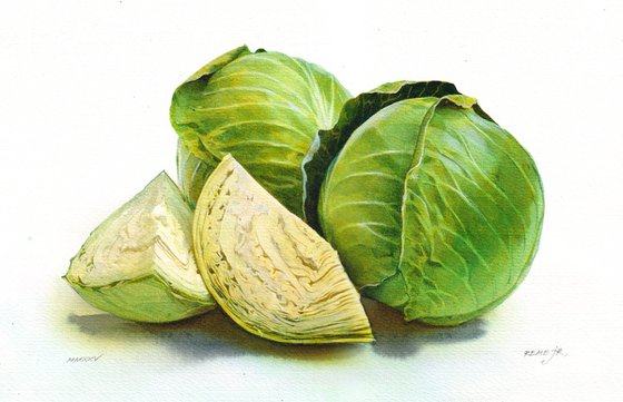 Cabbage