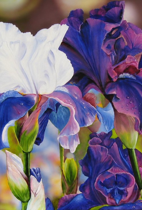 Purple and White Irises by Natalia Shaykina