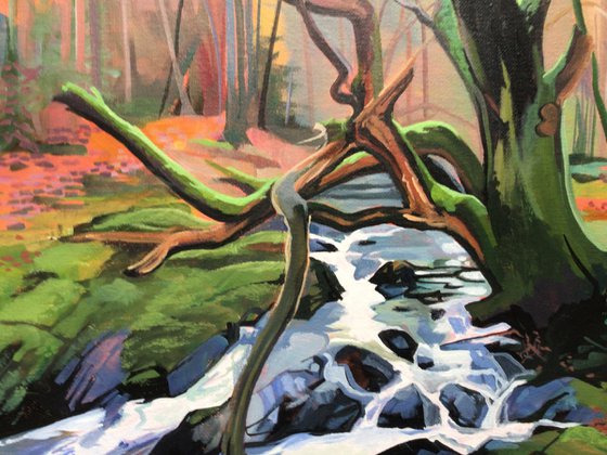 The Old Oak On The Shimna