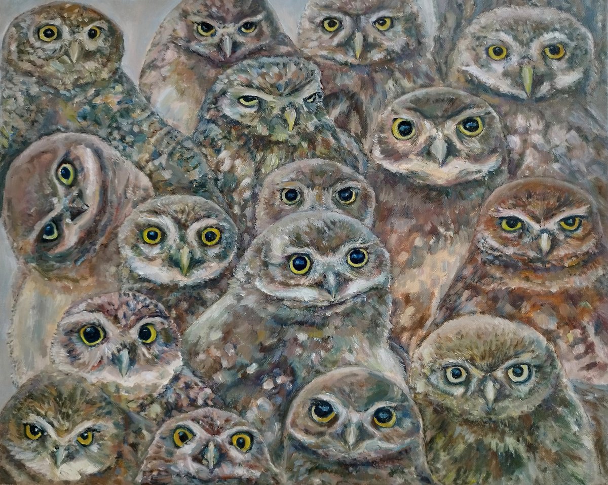 Owls On Photoshoot by Jura Kuba Art