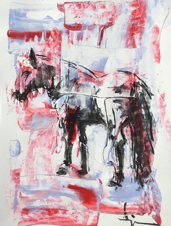 Horse Study