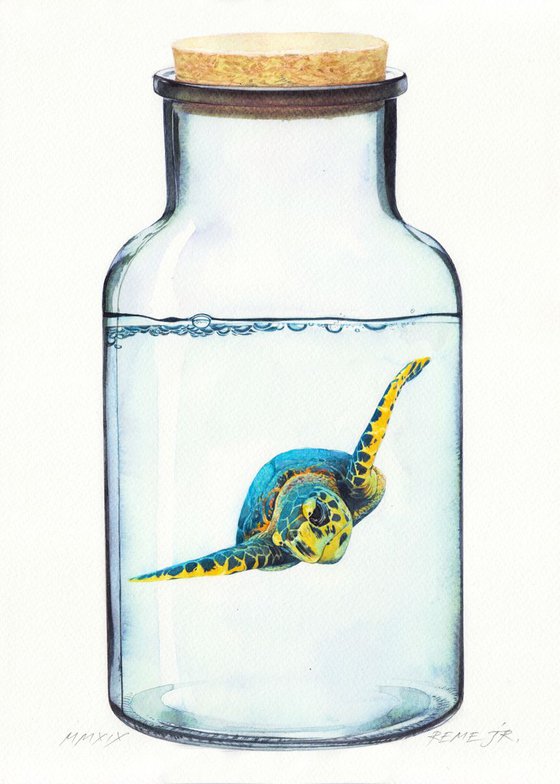 Turtle in Glass IX