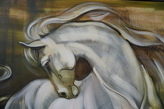 Dance with me. Horses