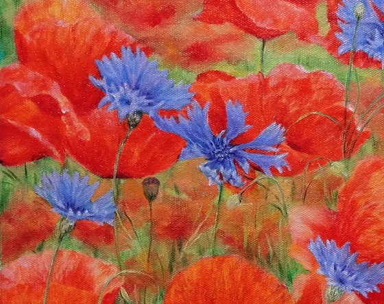 Poppies with Cornflowers.