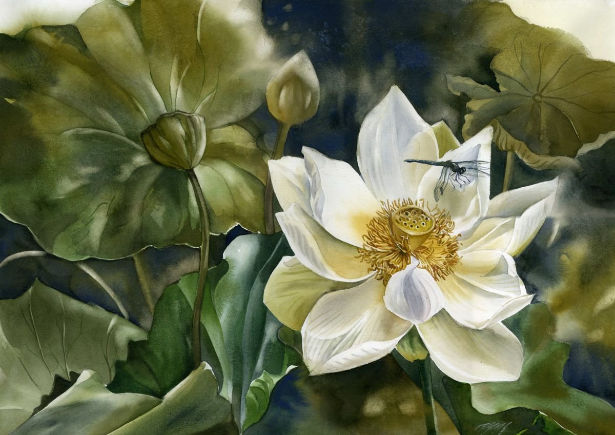 dragonfly with lotus blossom by Alfred Ng
