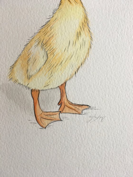 Yellow duckling