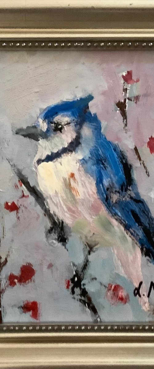 Blue Jay by Lia Matevosyan Haselton