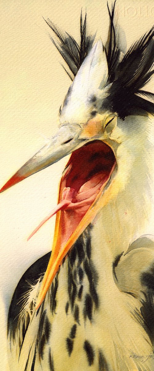 Bird CCXLXIII - Portrait by REME Jr.